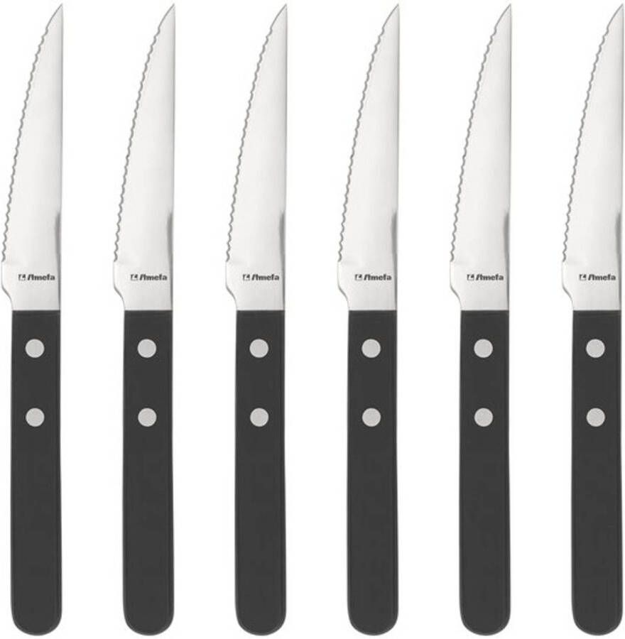 Xenos Steakmessen zwart 6 delig