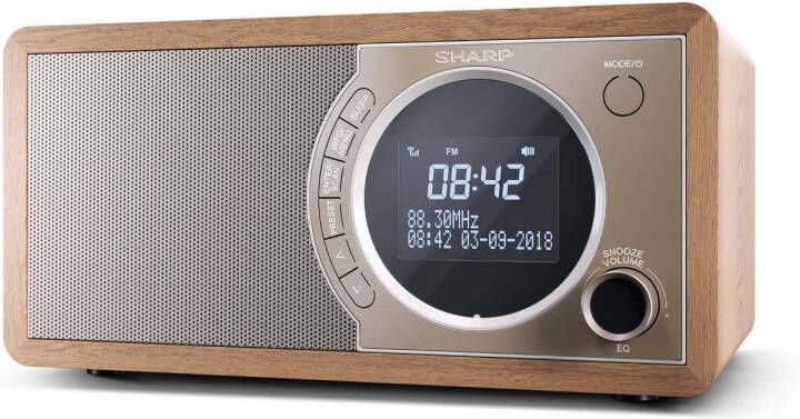 Sharp Dr 450br Dab Fm Radio Met Bt Bruin