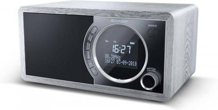 Sharp Dr 450gr Dab Fm Radio Met Bt Grijs